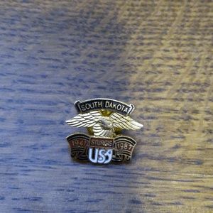 Sturgis Vgt 1987 pin